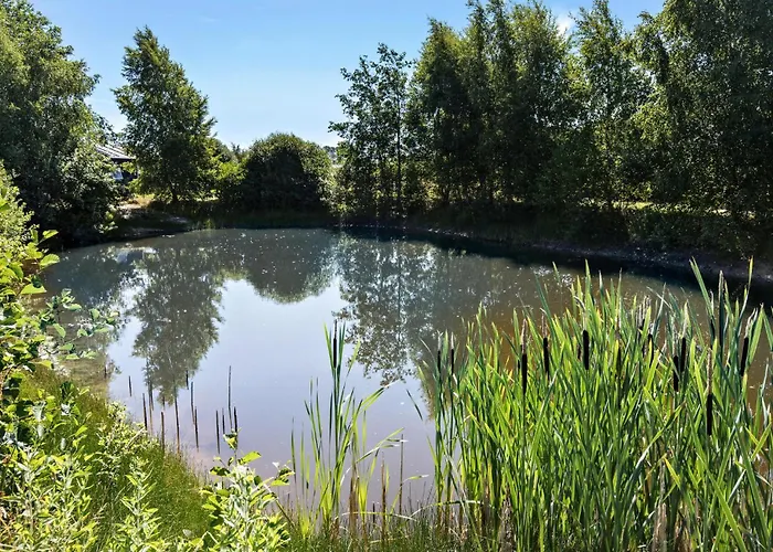 別荘 Awesome In With Sauna